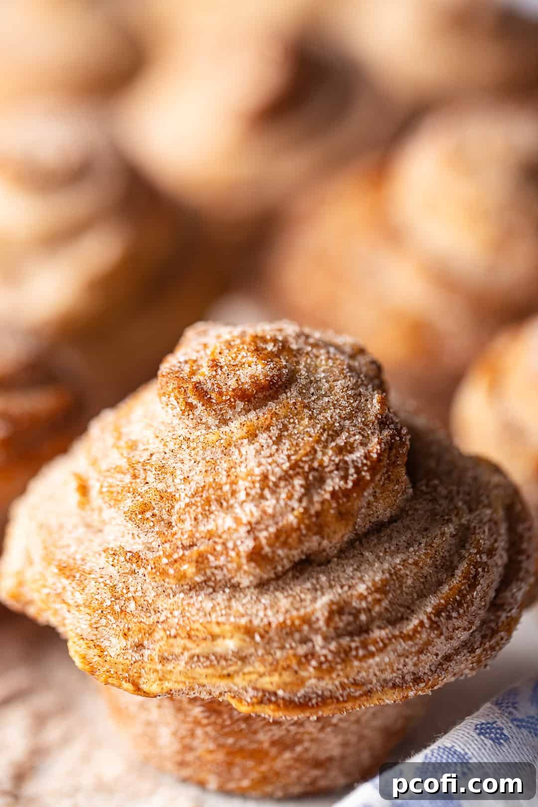 A tray of perfectly baked cruffins, generously coated in cinnamon sugar, showcasing their texture and golden color.