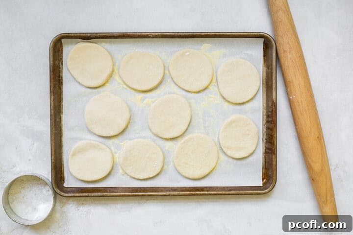 English muffin dough rolled out and cut into rounds on a baking sheet, dusted with semolina flour.