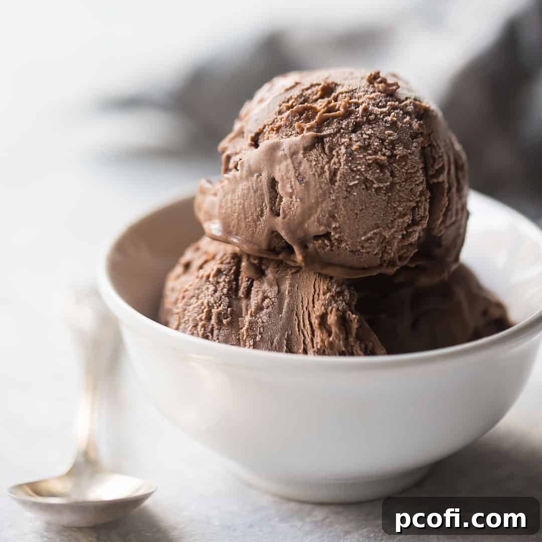 Rich, homemade chocolate ice cream served in a small white bowl with a silver spoon, set against a clean white background.