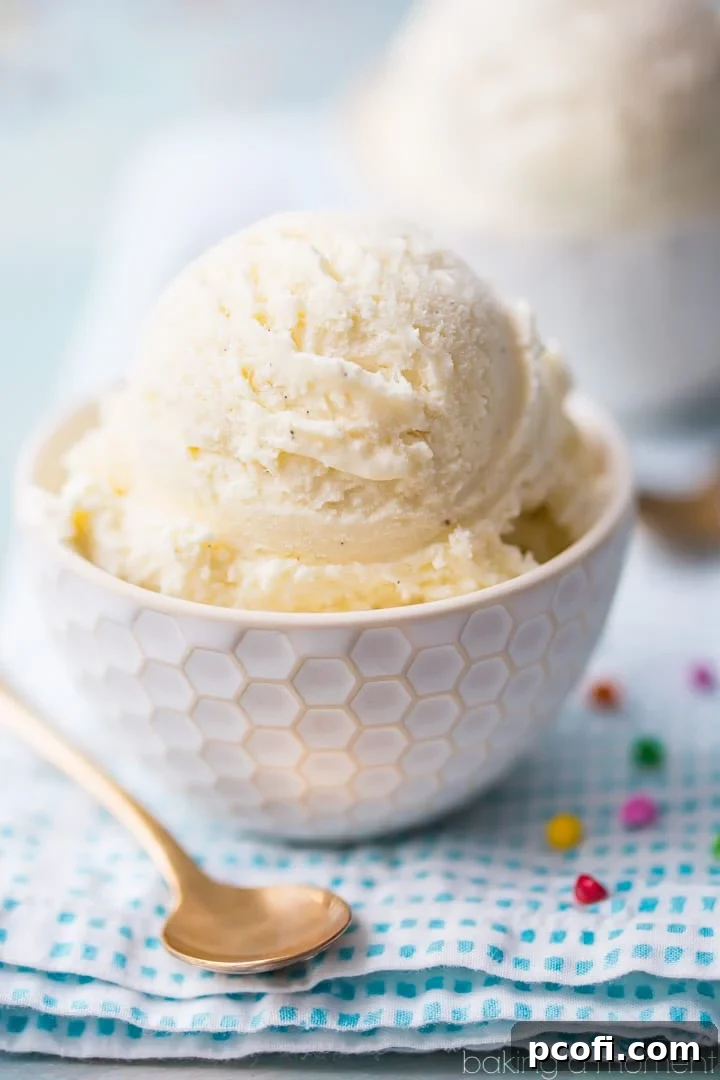 Deliciously creamy no-churn ice cream, highlighting the simplicity and joy of homemade frozen desserts.