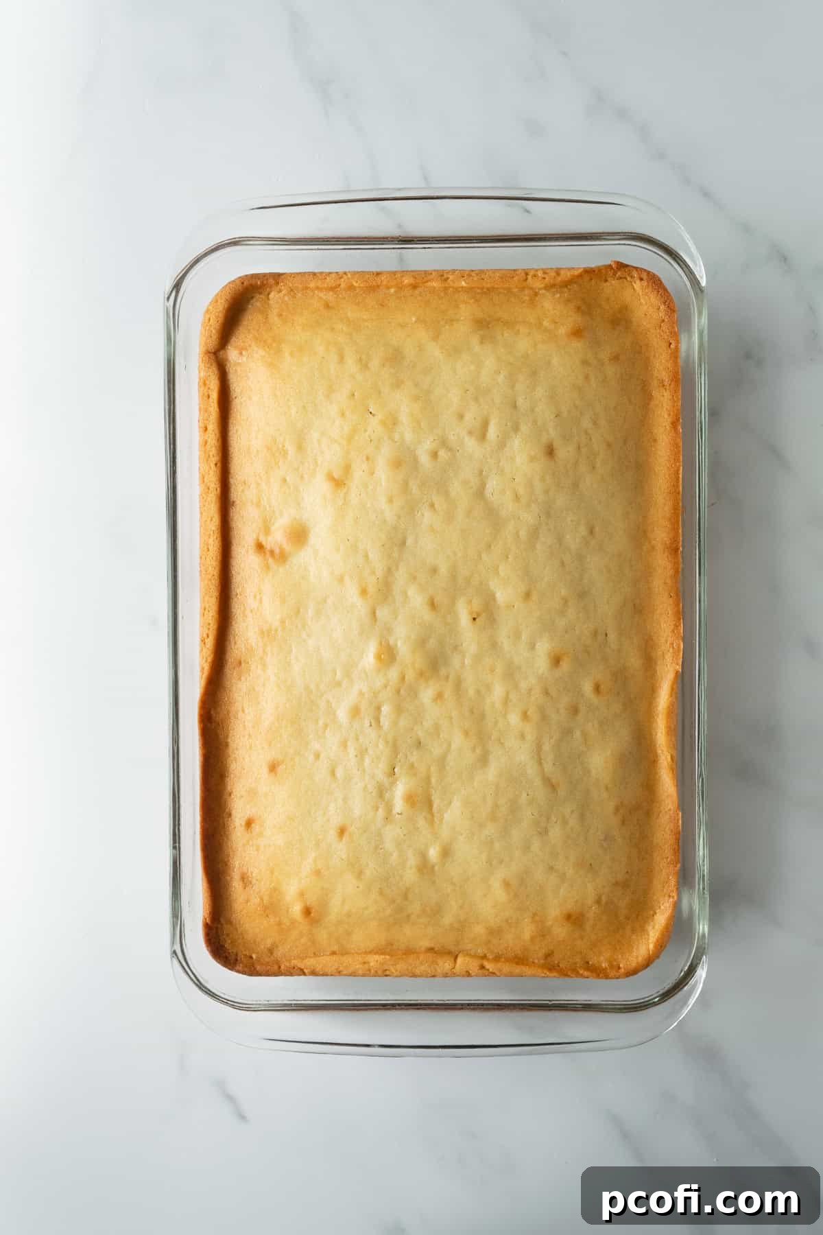 A freshly baked vanilla cake, golden brown and perfectly risen, resting in its 9x13 inch baking pan on a white table, cooling down.