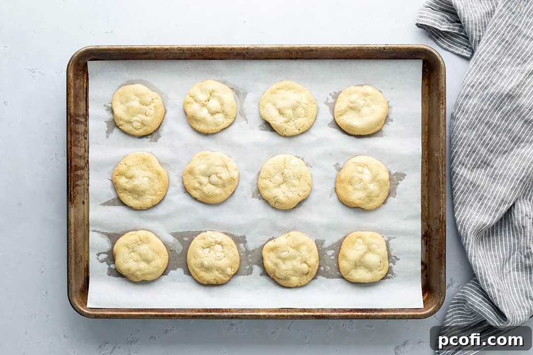 Baked cookies on cookie sheet.
