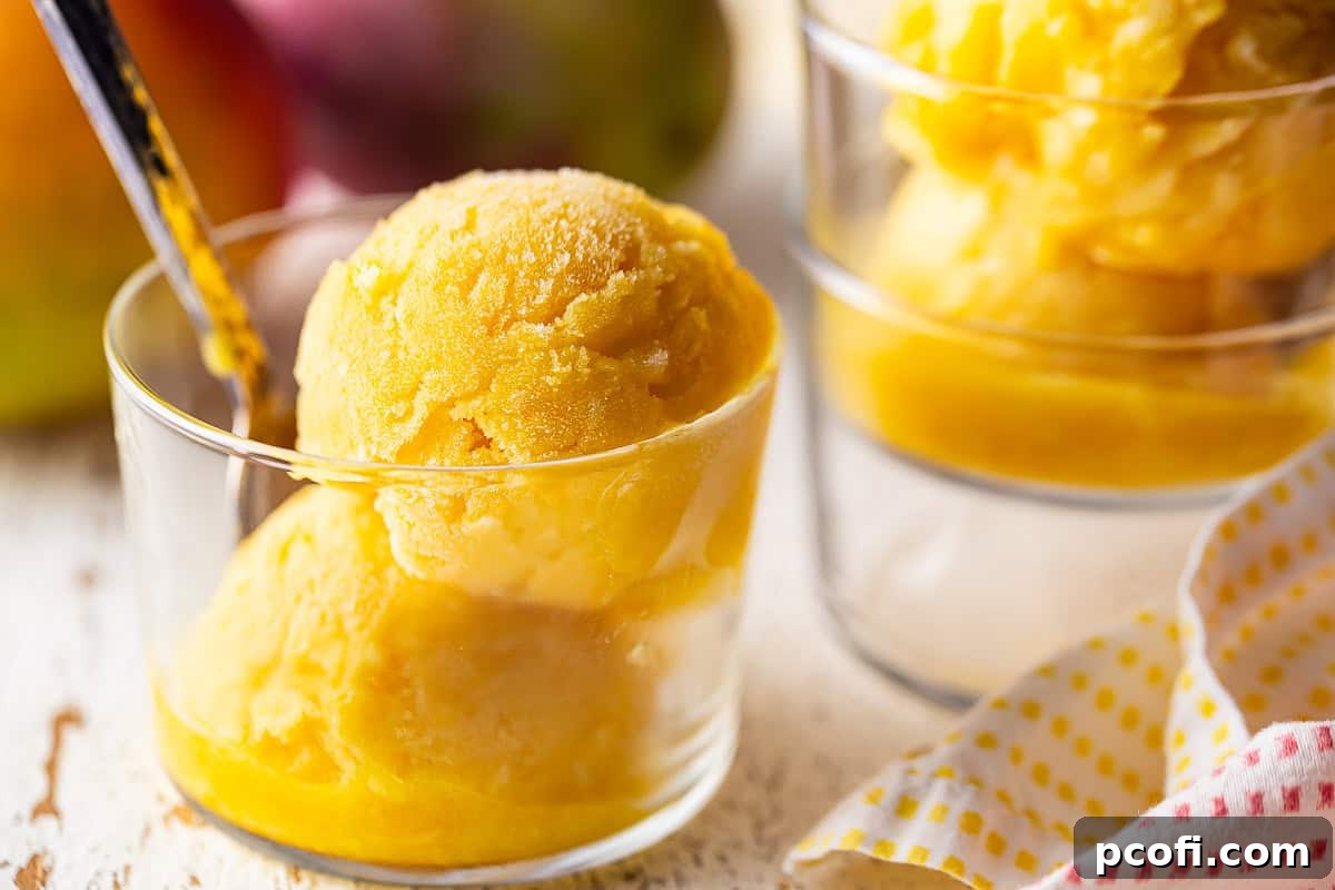 Homemade mango sorbet artfully presented in small glasses, with fresh whole mangoes and slices arranged in the background.