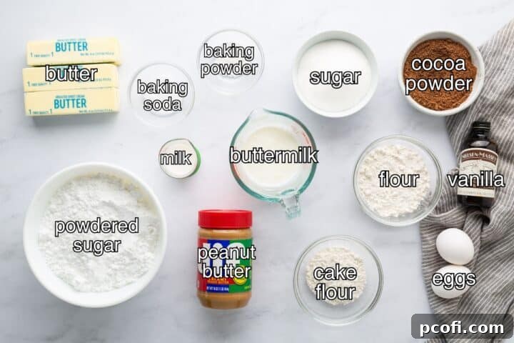 Collection of ingredients for chocolate peanut butter cupcakes and frosting laid out on a surface