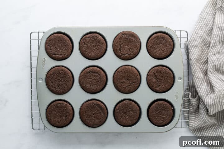 Freshly baked chocolate cupcakes cooling in a pan on a wire rack