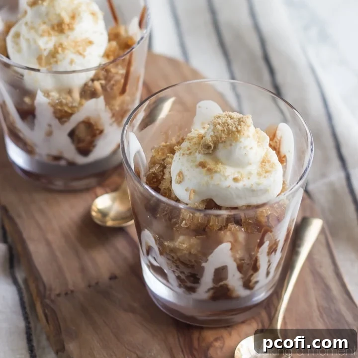 Delicious and easy-to-make S'mores Frappuccino Granita, perfect for a refreshing summer treat. No scraping required for this coffee granita.