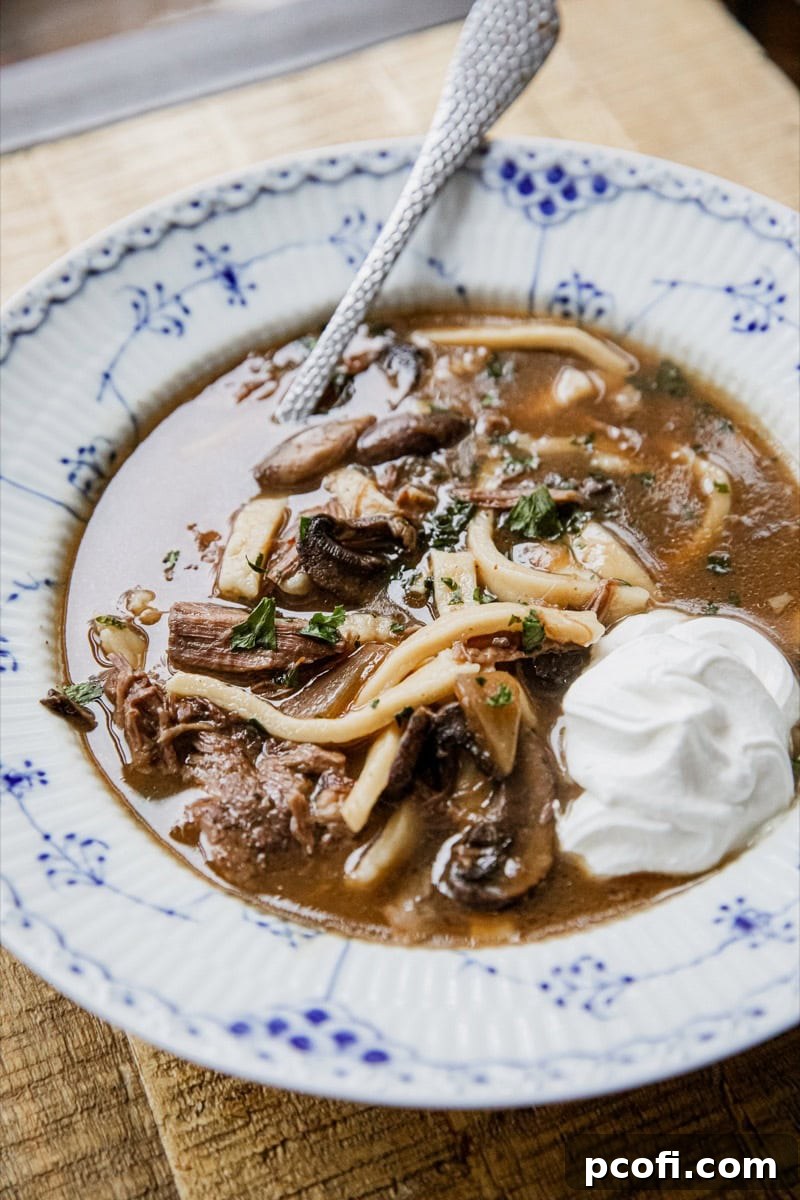 A bowl of Beef Stroganoff Soup, rich with tender beef and creamy broth.