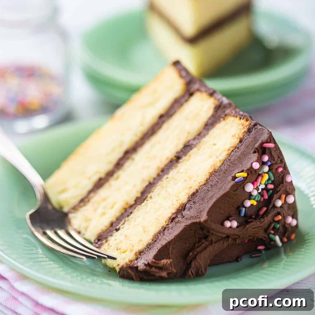 Classic yellow cake, baked in three fluffy layers, generously frosted with rich chocolate buttercream and served on a elegant pale green plate.