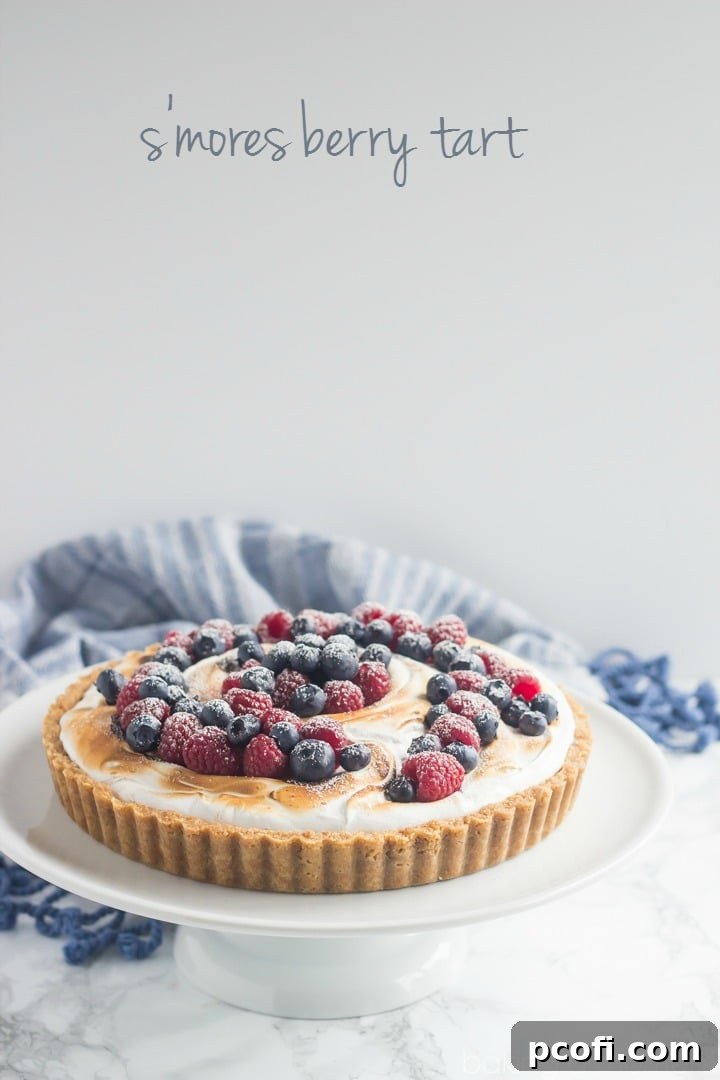 Close-up of the S'mores Berry Tart, highlighting the luxurious chocolate pastry cream beneath the fluffy, toasted marshmallow meringue.