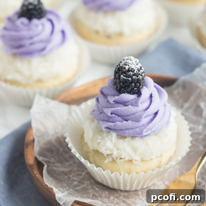 Blackberry Coconut Cupcakes - so dreamy and light, with a delightful blackberry jam filling. A perfect tropical dessert.