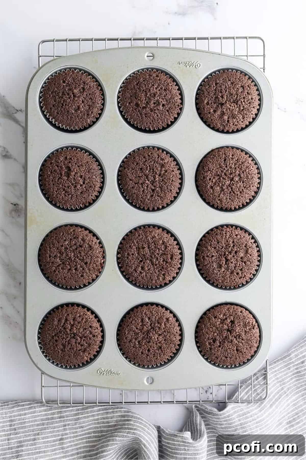 Freshly baked chocolate cupcakes cooling in a muffin pan after removal from the oven.