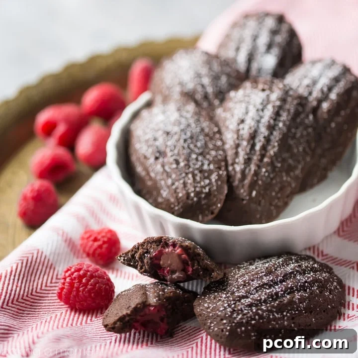 Chocolate Raspberry Madeleines: these little cakes are so perfect for a special occasion! Taste like a cake-y brownie, with a fresh raspberry baked inside. The shell shape couldn't be prettier! #BakeYourPassion #sponsored @whitelilyflour