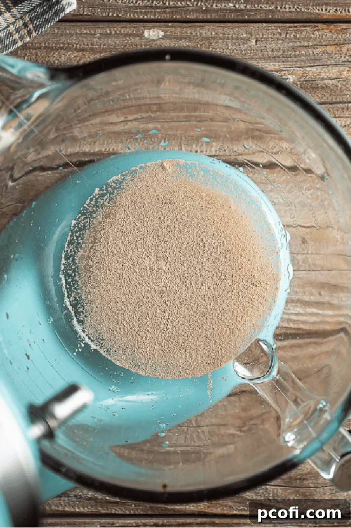 Dry active yeast sprinkled over warm water, honey, and molasses in a bowl.
