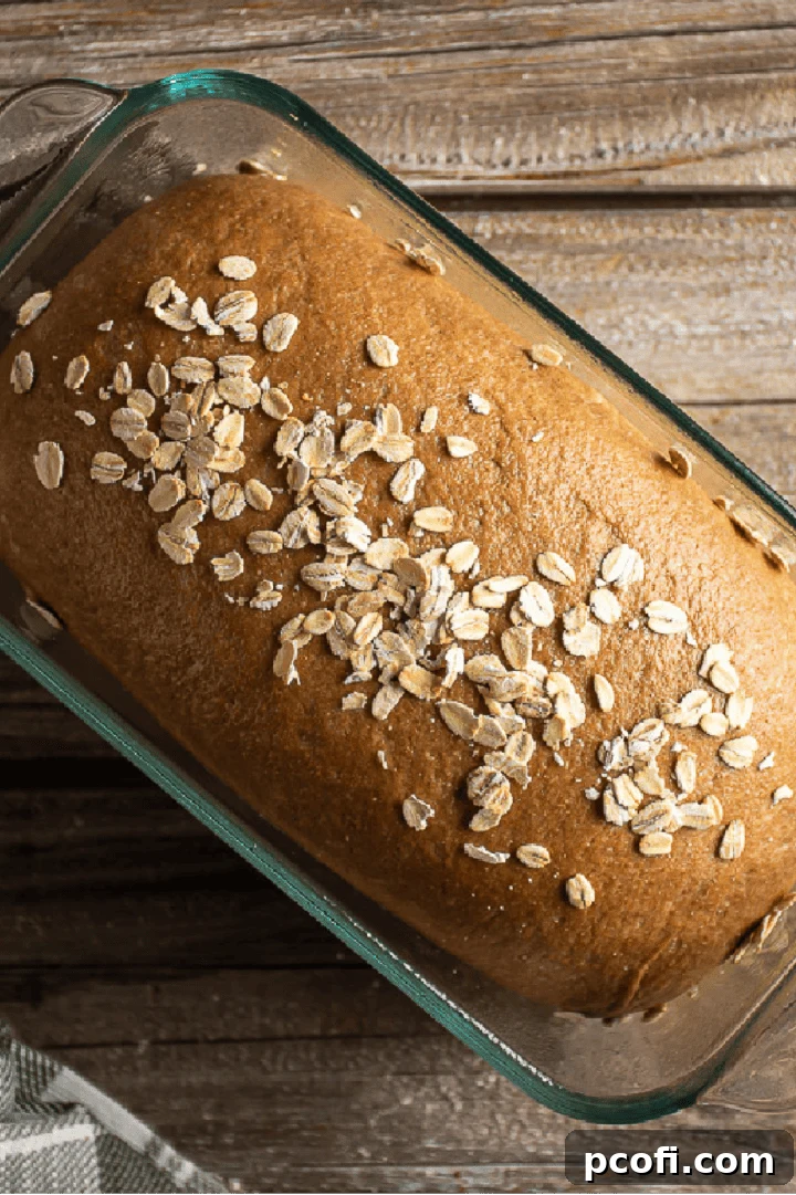 Forming Outback Steakhouse bread dough into a loaf shape, brushed with egg wash and oats.