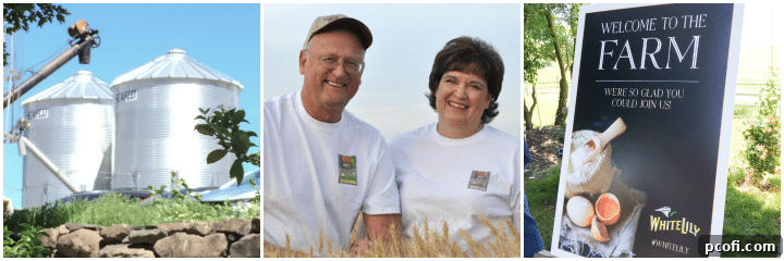 Fred Fleming and his wife Vicki, owners of Lazy YJ Farms, discussing their sustainable wheat farming practices in partnership with Shepherd's Grain and White Lily flour. #familyfarming #organicwheat