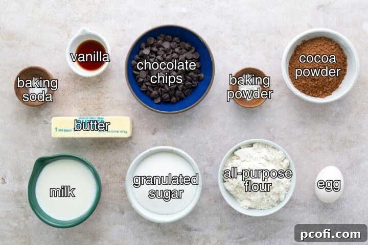 A selection of high-quality ingredients laid out on a baking surface, including flour, cocoa powder, sugar, butter, eggs, milk, vanilla extract, and chocolate chips.