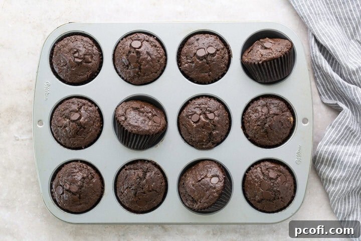 Freshly baked chocolate muffins cooling in a pan on a wire rack.