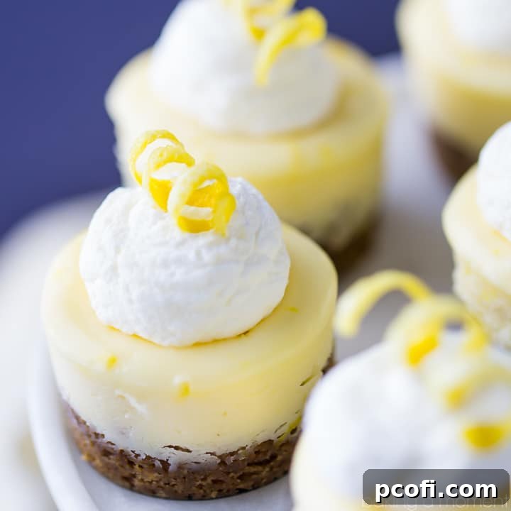 So cute for a party! These creamy Mini Lemon Cheesecakes are a perfect compliment to their soft & chewy ginger molasses cookie crust.