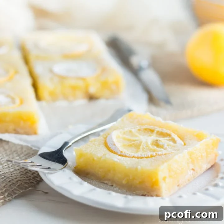 Not your everyday lemon bar! This recipe uses the whole lemon for tons of intense flavor, plus 3 kinds of ginger! These Shaker Lemon Ginger Pie Bars are the antidote to winter ;)