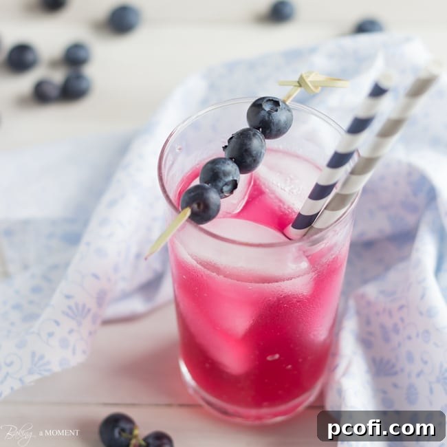 Blueberry Lavender Lemonade