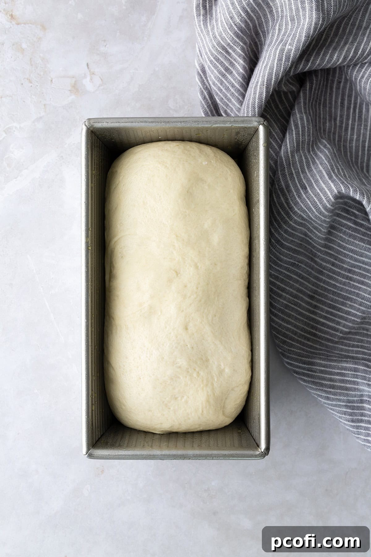 Potato bread dough shaped into a smooth log and carefully placed into a greased loaf pan, ready for its final rise.