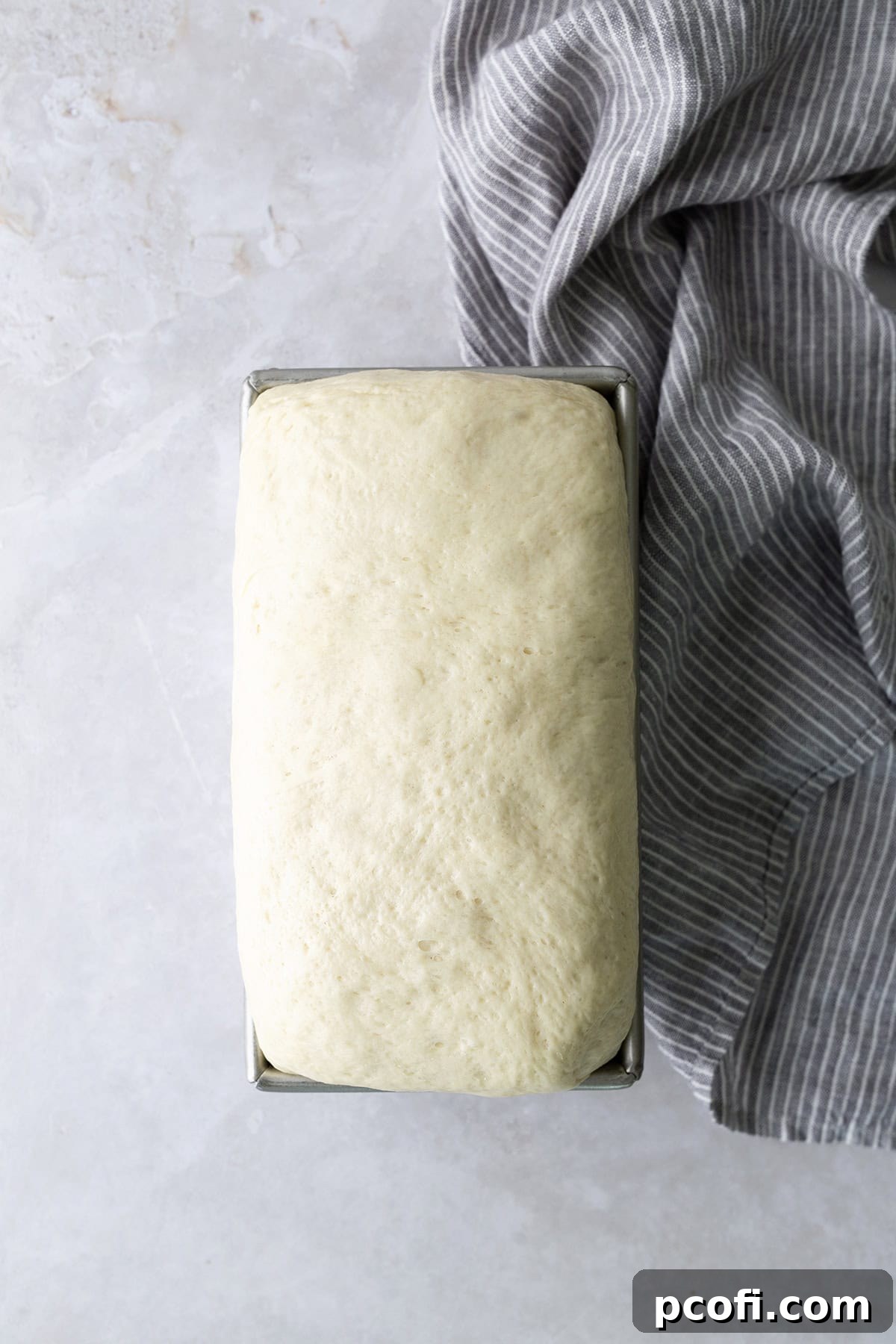 Potato bread dough after its second rise, beautifully risen to about an inch above the loaf pan, indicating it's perfectly proofed and ready for baking.