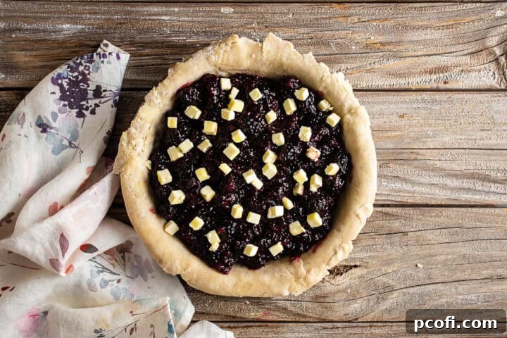 Blackberry pie filling in a pie crust dotted with butter.