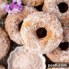 pumpkin donuts with spiced sugar topping