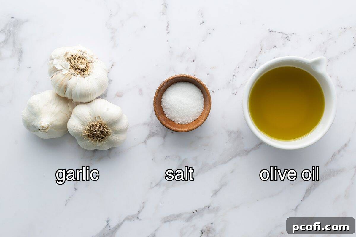Ingredients for roasted garlic: a head of garlic, a bottle of olive oil, and a pinch of salt.