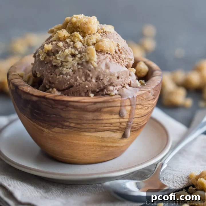 Creamy Chocolate Peanut Butter Oatmeal Cookie Dough Ice Cream, studded with chunky pieces of cookie dough.
