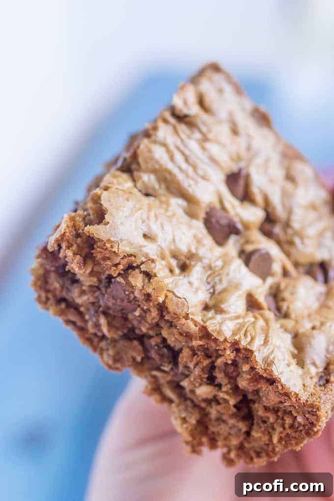 Sweet and satisfying Chewy Chocolate Oatmeal Bars, perfect for a family treat.