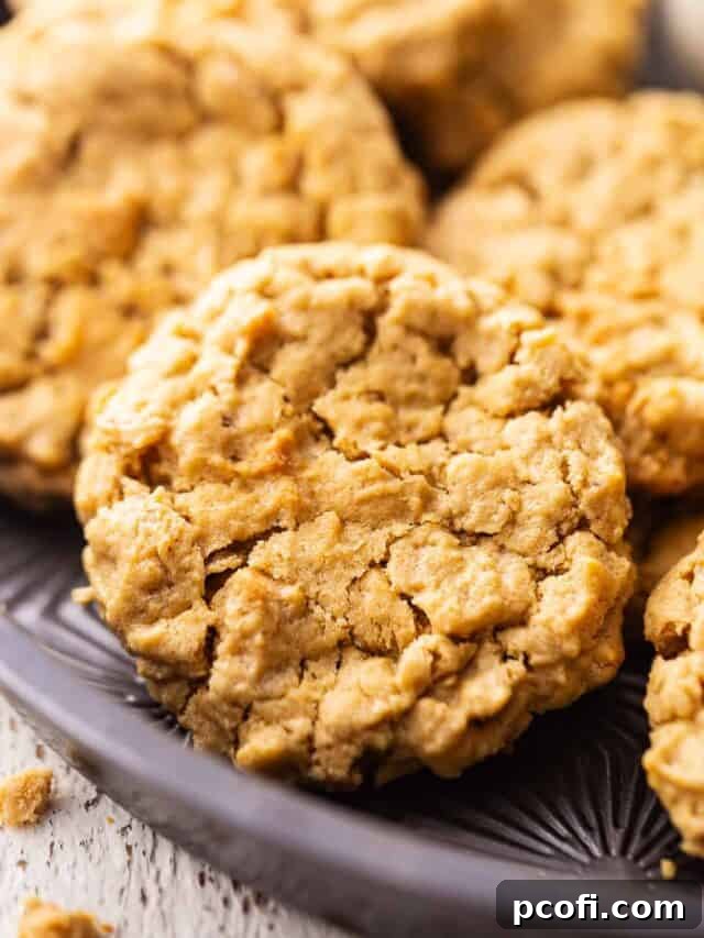 Soft and chewy Peanut Butter Oatmeal Cookies, baked and ready to enjoy, presented in a vintage Ovenex pan.