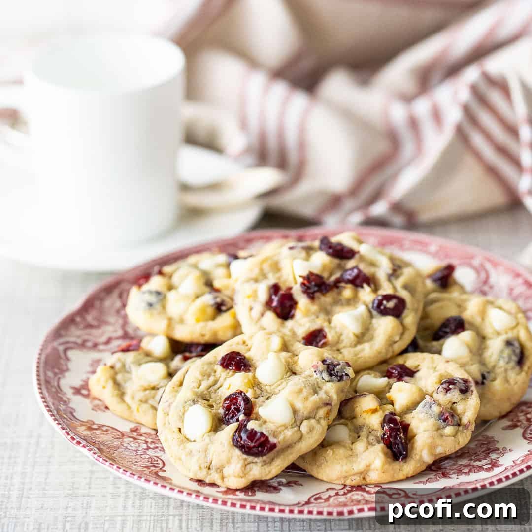 Rustic oatmeal cranberry cookies elegantly arranged on a vintage red and white plate.