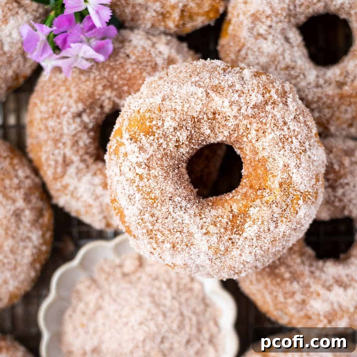 Close-up view of fluffy baked pumpkin donuts, generously coated with a sparkling spiced cinnamon sugar topping, perfect for a fall treat.