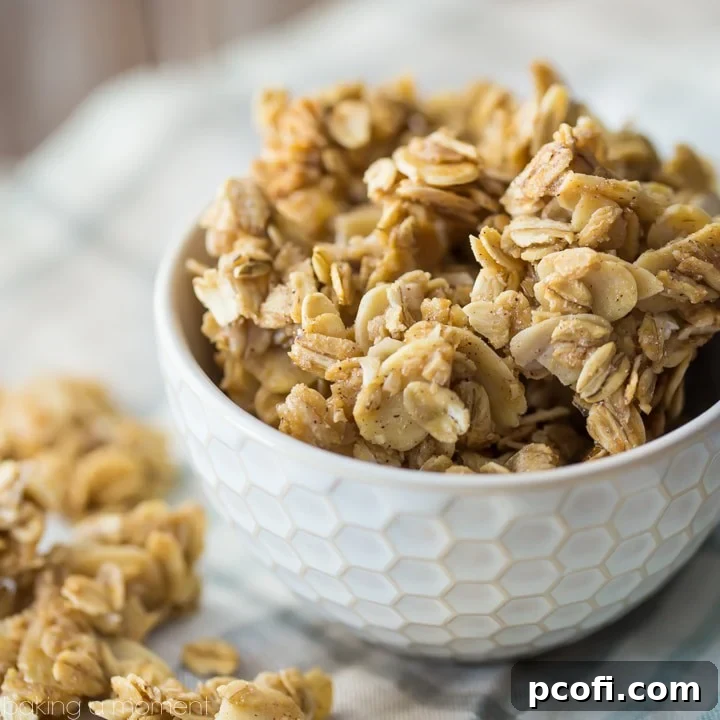 A close-up of basic granola with crunchy oats and almonds, lightly sweetened, representing a versatile base recipe.