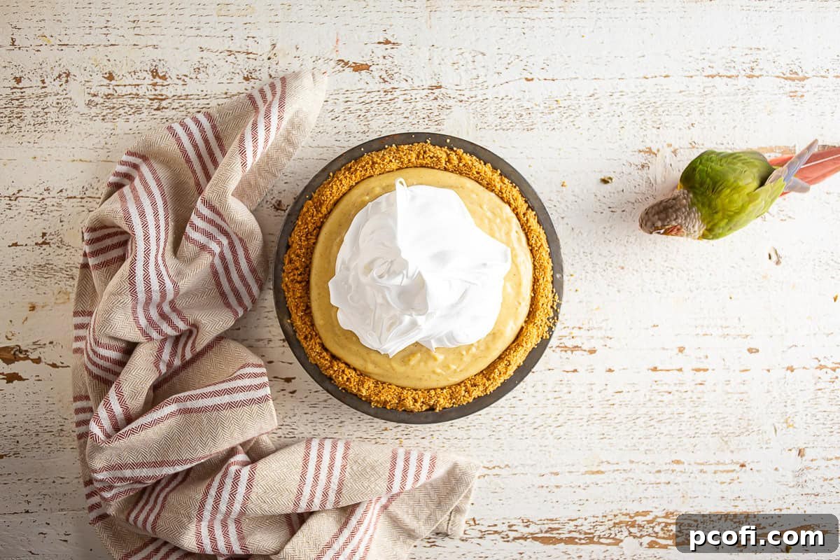 Fluffy white meringue carefully spread onto the warm eggnog pie filling, creating decorative swirls.