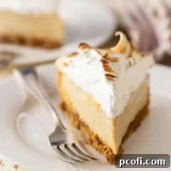 Eggnog Pie with toasted meringue topping, viewed from above.
