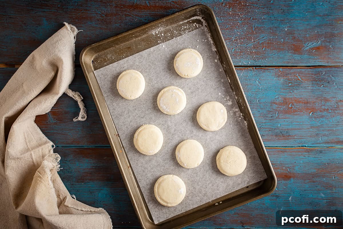 Several shaped alfajores cookies, uniformly flattened with a glass, neatly arranged on a parchment-lined baking sheet, prepared for baking.
