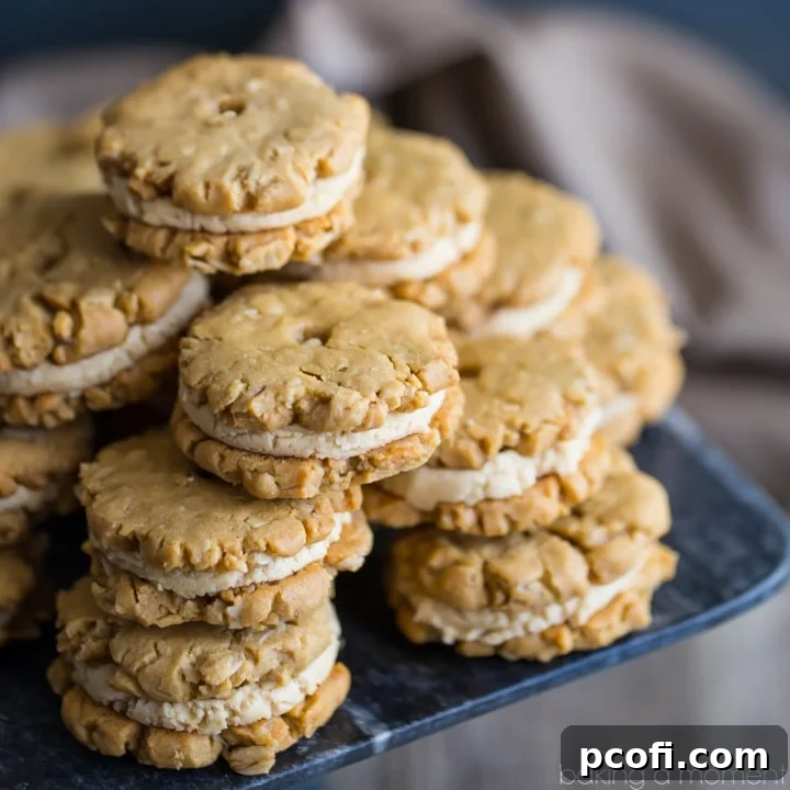 Delicious homemade Do-Si-Dos cookies, showcasing their crunchy peanut butter oatmeal layers.
