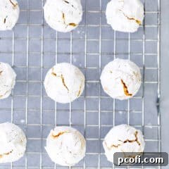 Amaretti Cookies
