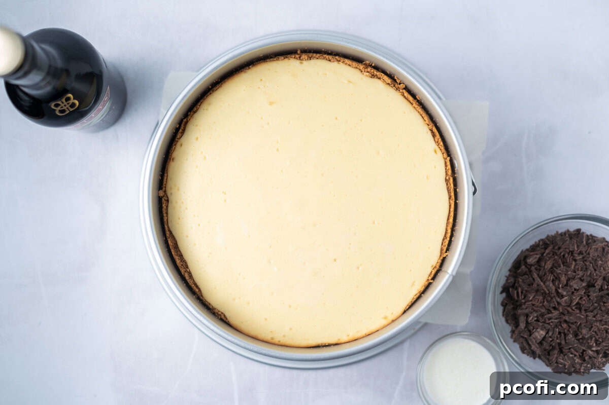 Freshly baked Baileys cheesecake cooling in a springform pan.