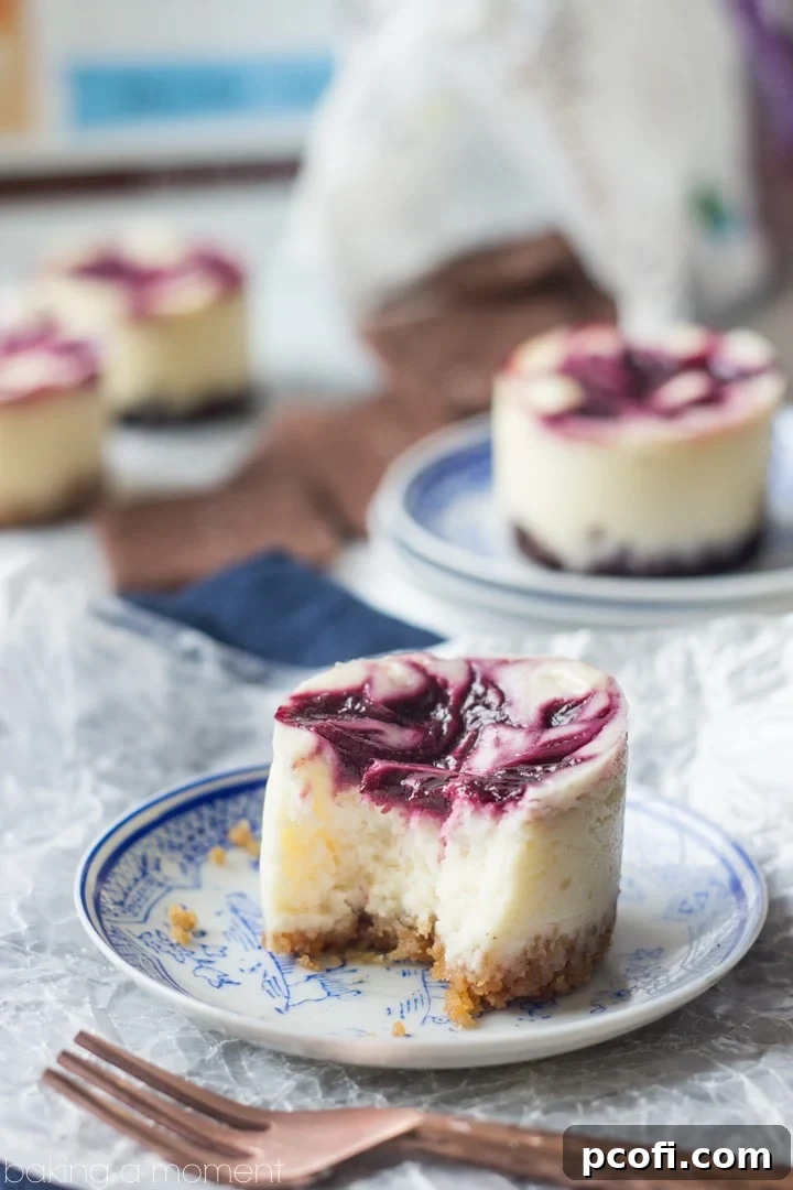 A batch of freshly baked Lemon Berry Swirl Mini Cheesecakes, ready to be chilled and enjoyed, highlighting their delicate swirls.