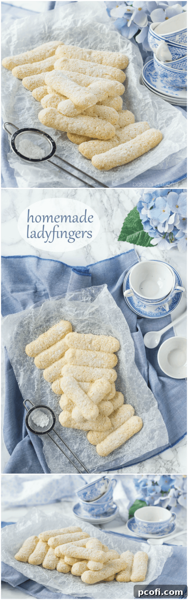 Several perfectly golden ladyfingers, freshly baked and arranged on a simple white background, ready for a tiramisu or another layered dessert.
