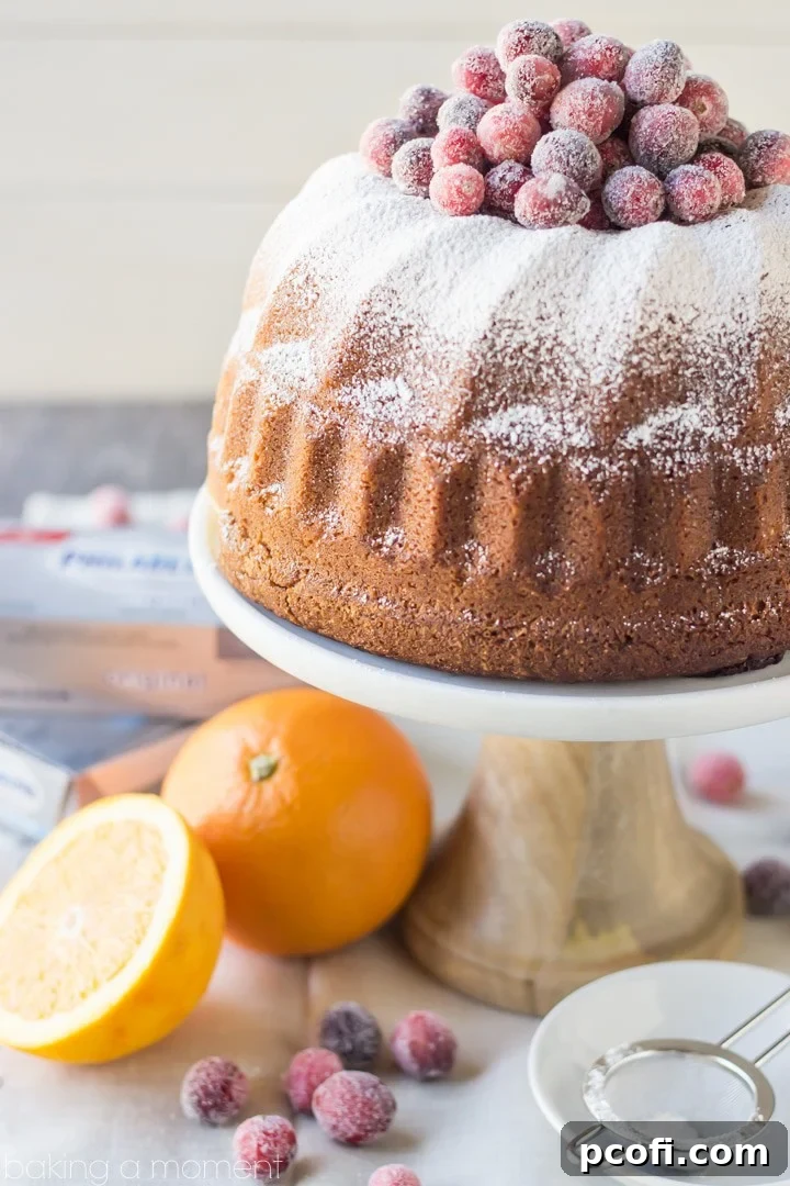 Orange spice cream cheese pound cake topped with powdered sugar and a generous amount of sugared cranberries for a festive holiday dessert.