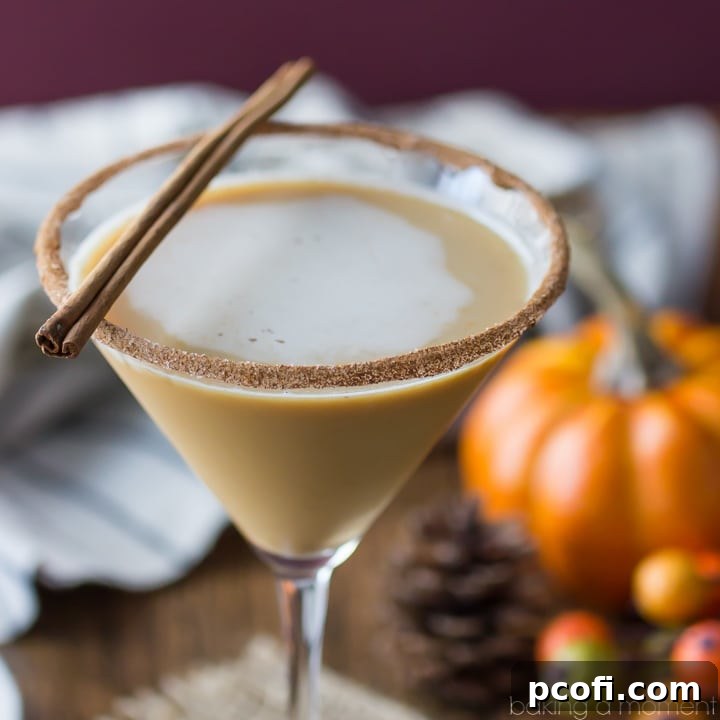 Pumpkin Spice Latte Martini - A delicious fall cocktail resembling a Starbucks PSL but with an alcoholic twist. Garnished with cinnamon and nutmeg.