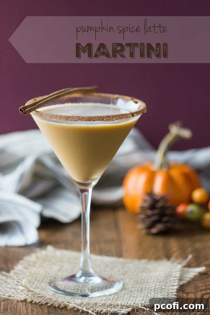 Pumpkin Spice Latte Martini - So much delicious fall flavor, just like a Starbucks PSL but BOOZY! 