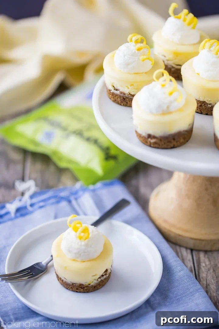 Close-up of a garnished Mini Lemon Cheesecake, topped with whipped cream and a spiral of fresh lemon zest, highlighting its delicate presentation. Sponsored by Among Friends.