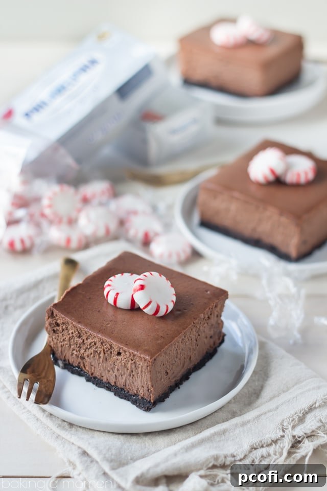 Close-up of a single Chocolate Peppermint Cheesecake Bar, showing its layers and festive topping.