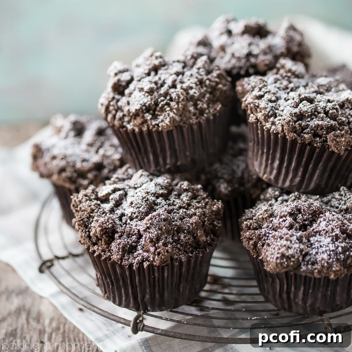 Moist, rich, and studded throughout with melt-y chocolate chips, with a crunchy chocolate streusel crumb topping. These whole-wheat, dairy-free, and vegan muffins are perfect for a guilt-free treat. #ad