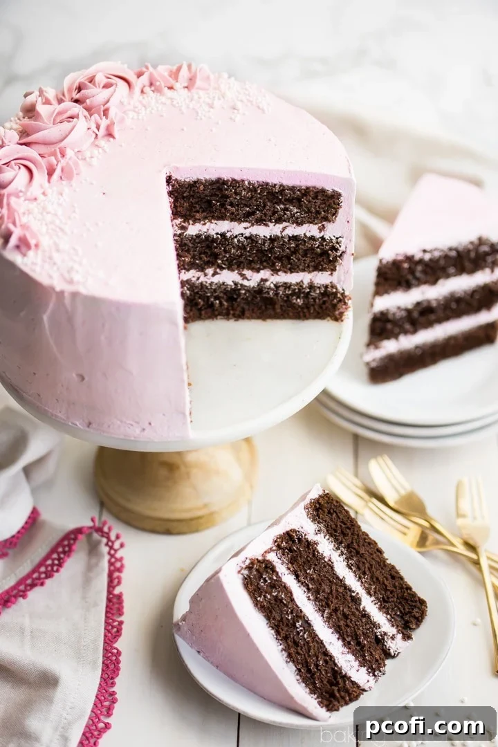 Beautifully decorated chocolate cake with raspberry buttercream, featuring delicate rosettes and sprinkles for a festive look.